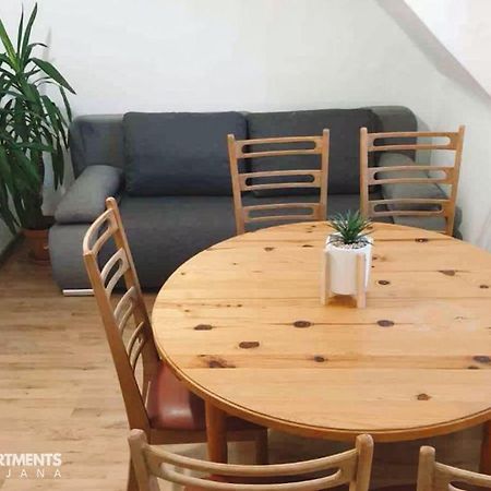 Huge Bbq Garden 2, Spacious Flat, Ac, Free Parking 2 Ljubljana Luaran gambar