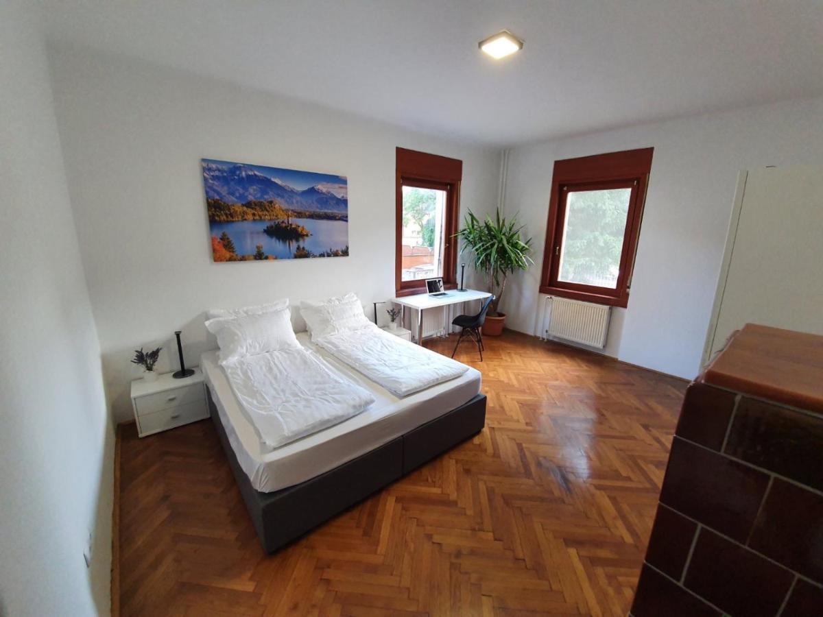 Huge Bbq Garden 2, Spacious Flat, Ac, Free Parking 2 Ljubljana Luaran gambar