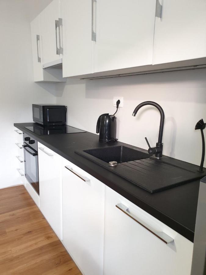 Huge Bbq Garden 2, Spacious Flat, Ac, Free Parking 2 Ljubljana Luaran gambar
