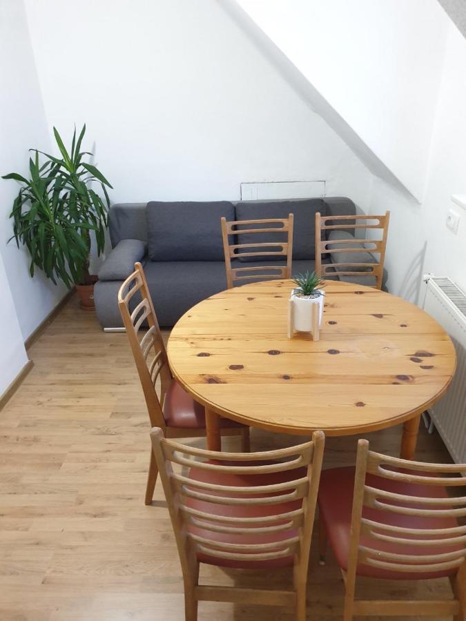 Huge Bbq Garden 2, Spacious Flat, Ac, Free Parking 2 Ljubljana Luaran gambar