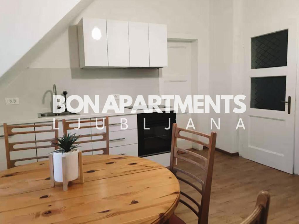 Huge Bbq Garden 2, Spacious Flat, Ac, Free Parking 2 Ljubljana Luaran gambar